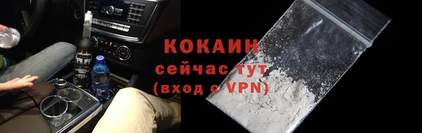 ГАЛЛЮЦИНОГЕННЫЕ ГРИБЫ Карталы