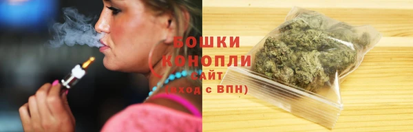 ГАЛЛЮЦИНОГЕННЫЕ ГРИБЫ Карталы