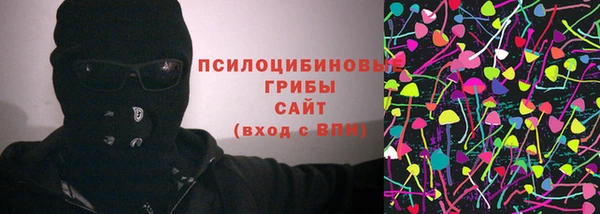 ГАЛЛЮЦИНОГЕННЫЕ ГРИБЫ Карталы